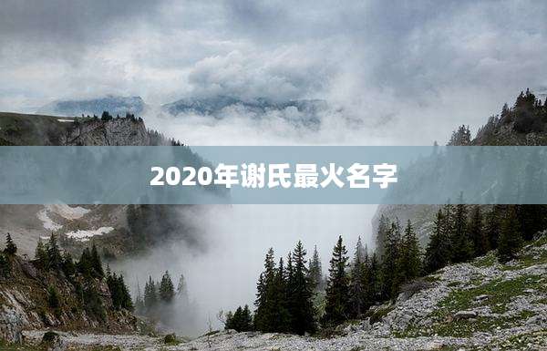 2020年谢氏最火名字