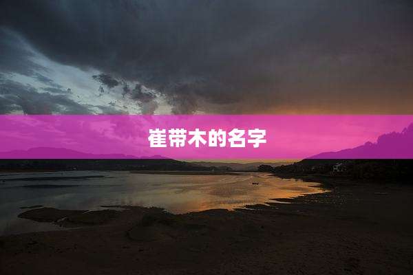 崔带木的名字