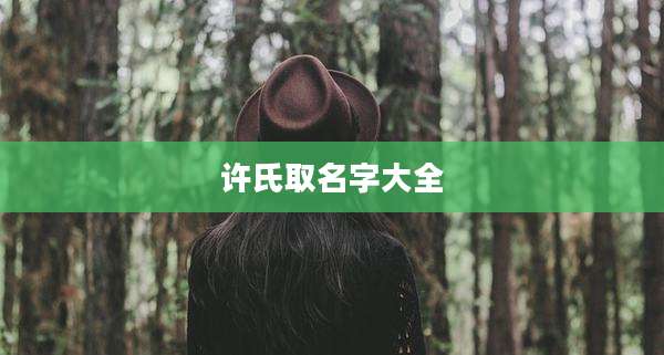 许氏取名字大全