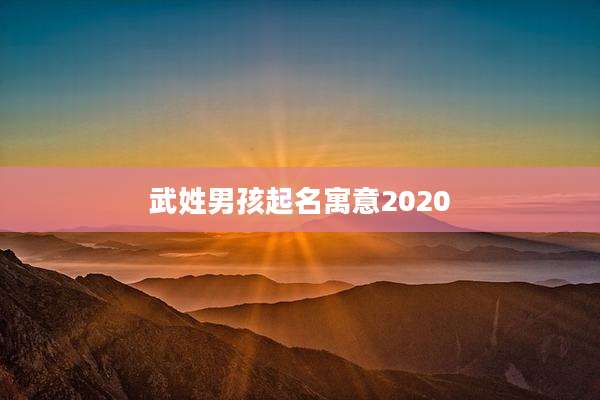 武姓男孩起名寓意2020