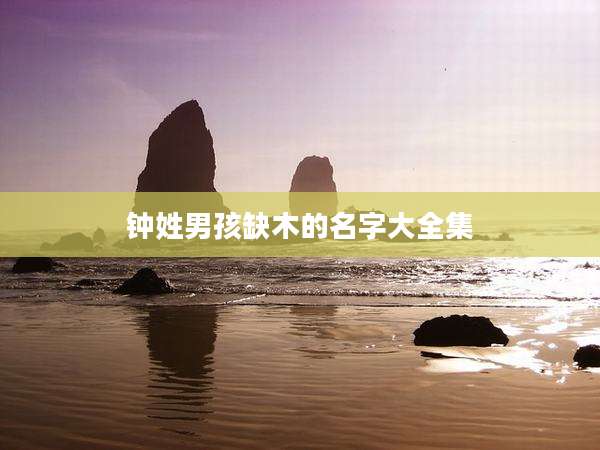 钟姓男孩缺木的名字大全集