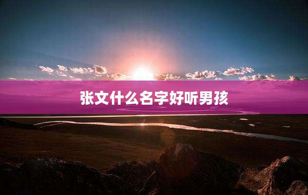 张文什么名字好听男孩