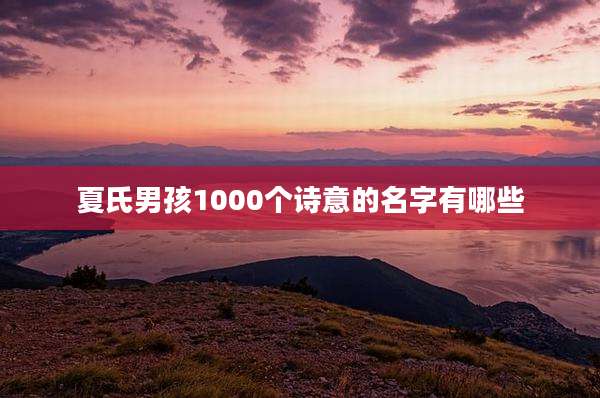 夏氏男孩1000个诗意的名字有哪些