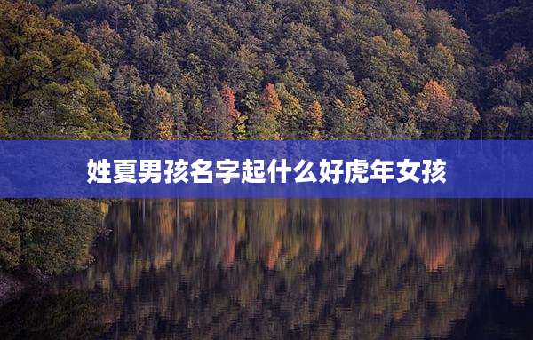 姓夏男孩名字起什么好虎年女孩