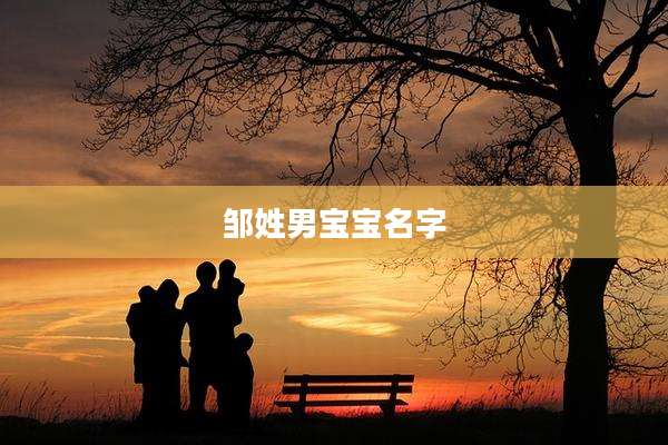 邹姓男宝宝名字