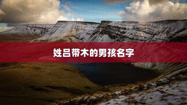 姓吕带木的男孩名字