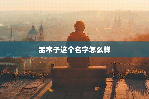 孟木子这个名字怎么样