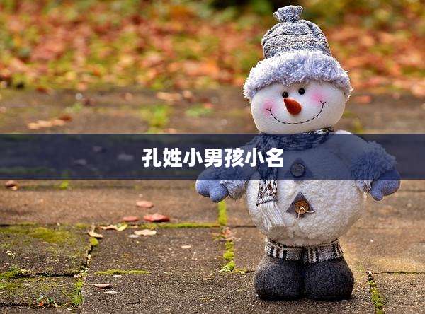 孔姓小男孩小名