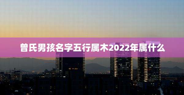 曾氏男孩名字五行属木2022年属什么