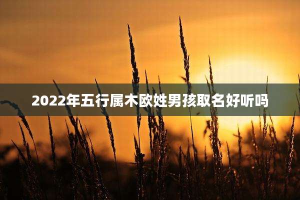 2022年五行属木欧姓男孩取名好听吗