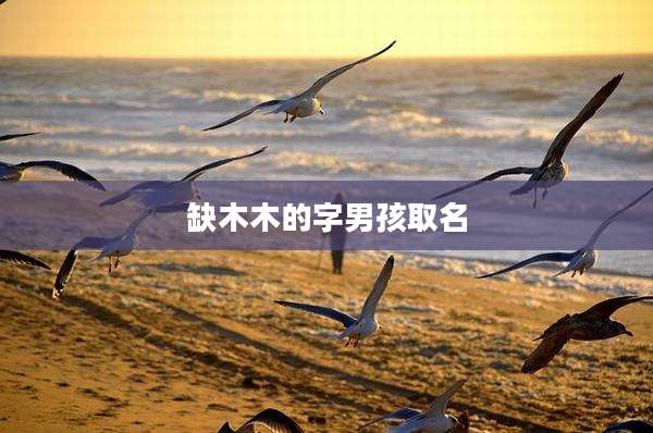 缺木木的字男孩取名