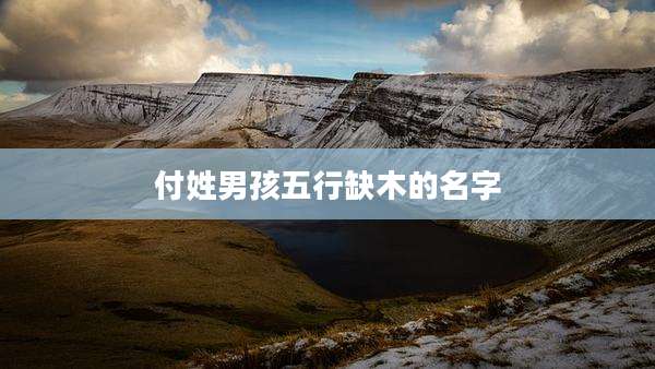 付姓男孩五行缺木的名字