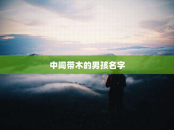 中间带木的男孩名字