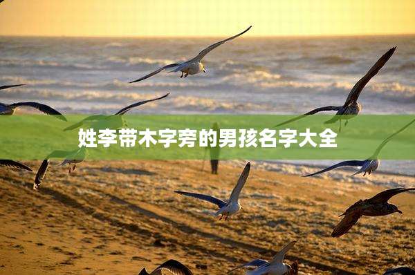 姓李带木字旁的男孩名字大全