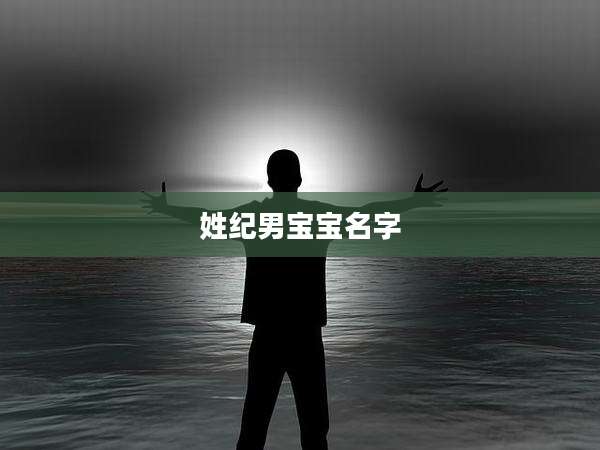 姓纪男宝宝名字