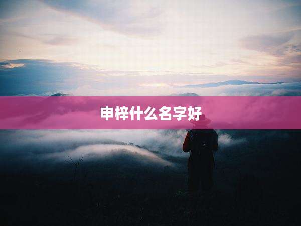 申梓什么名字好
