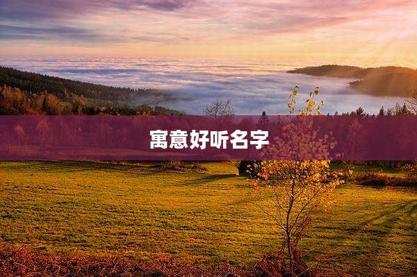 寓意好听名字