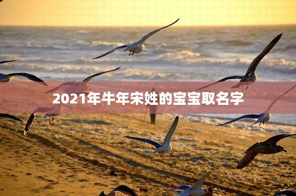 2021年牛年宋姓的宝宝取名字