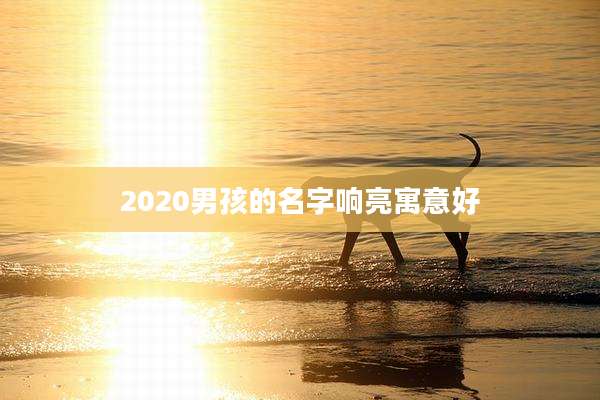 2020男孩的名字响亮寓意好