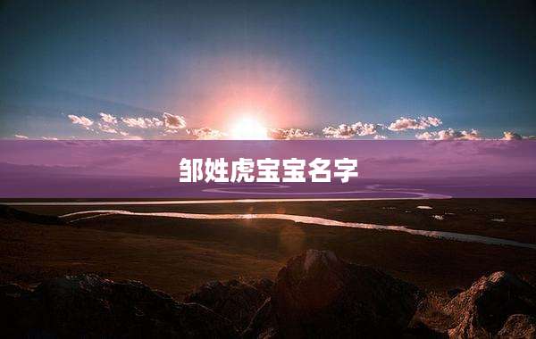 邹姓虎宝宝名字