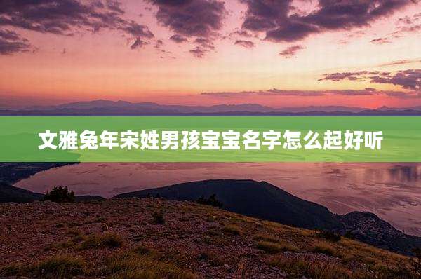 文雅兔年宋姓男孩宝宝名字怎么起好听