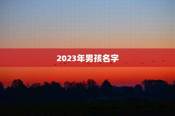 2023年男孩名字
