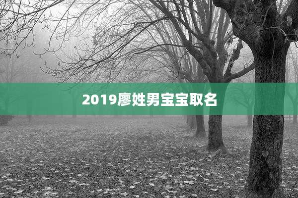 2019廖姓男宝宝取名