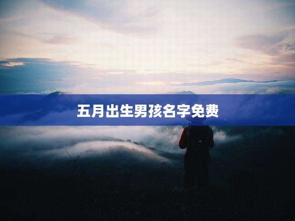 五月出生男孩名字免费