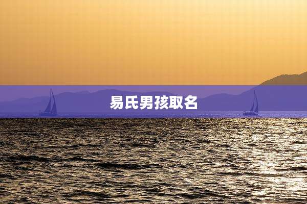 易氏男孩取名