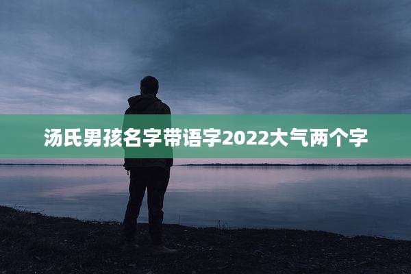 汤氏男孩名字带语字2022大气两个字