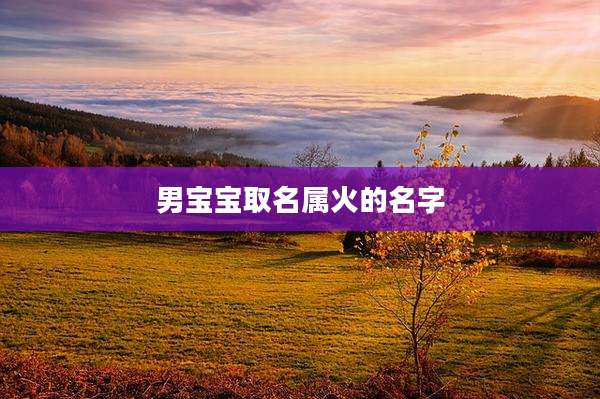 男宝宝取名属火的名字