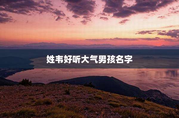 姓韦好听大气男孩名字