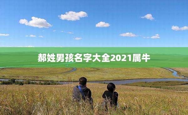 郝姓男孩名字大全2021属牛