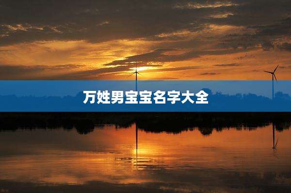 万姓男宝宝名字大全
