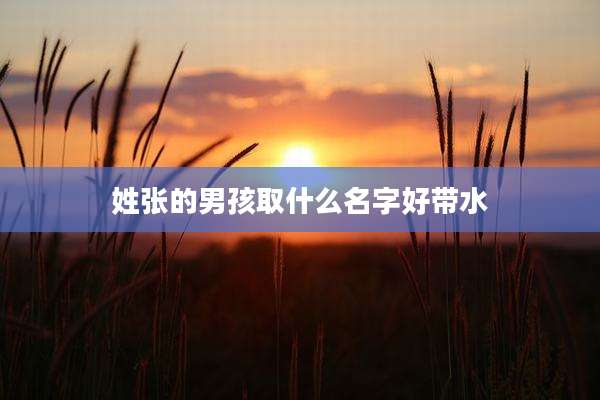 姓张的男孩取什么名字好带水