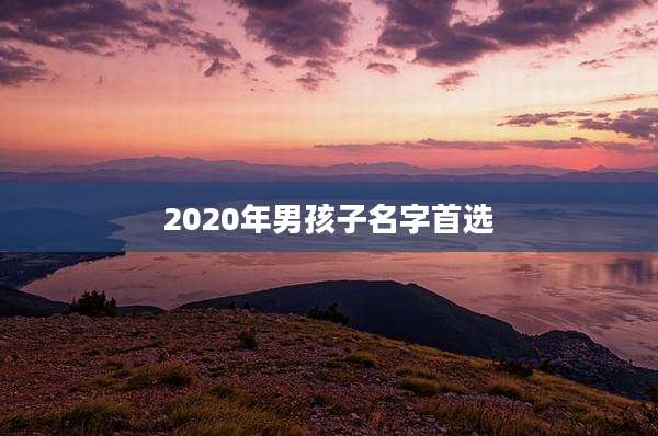 2020年男孩子名字首选