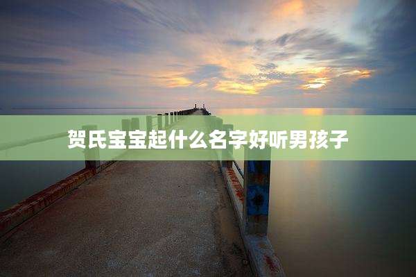 贺氏宝宝起什么名字好听男孩子