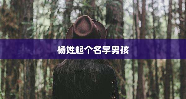 杨姓起个名字男孩