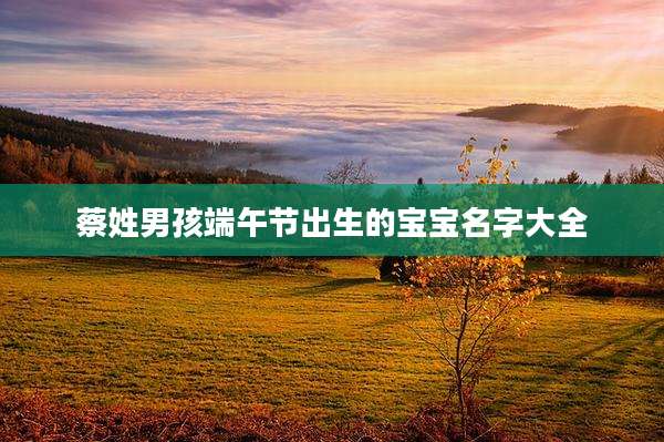 蔡姓男孩端午节出生的宝宝名字大全