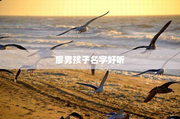 廖男孩子名字好听