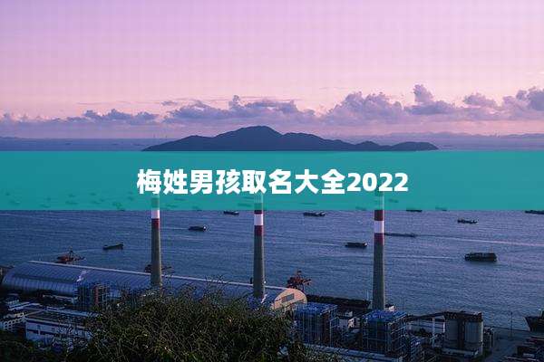 梅姓男孩取名大全2022