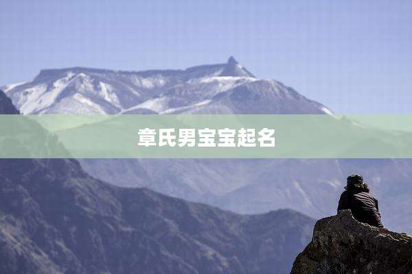 章氏男宝宝起名