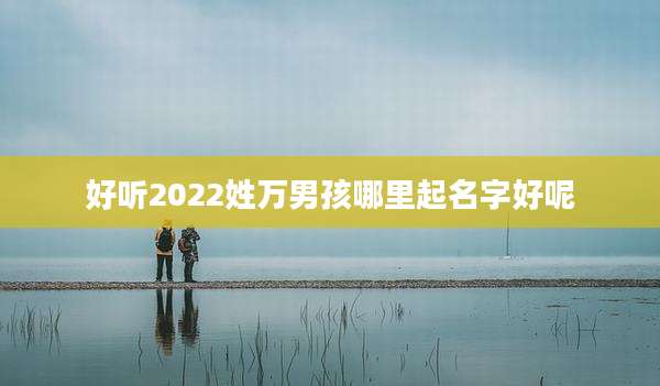 好听2022姓万男孩哪里起名字好呢