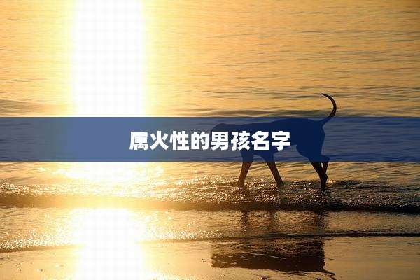 属火性的男孩名字