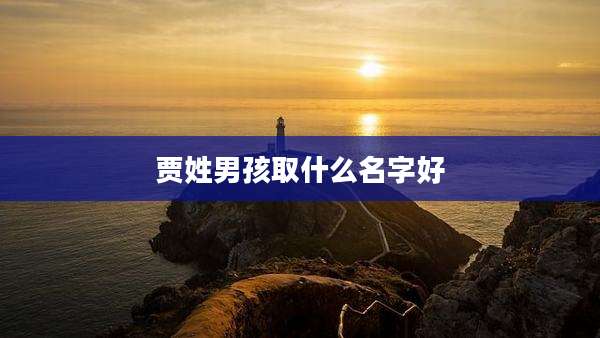 贾姓男孩取什么名字好