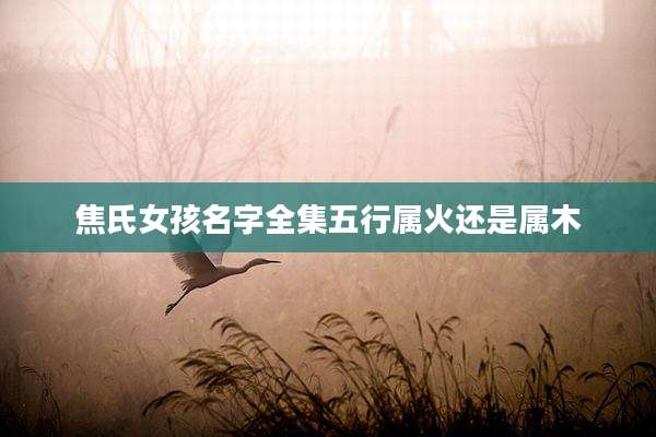 焦氏女孩名字全集五行属火还是属木