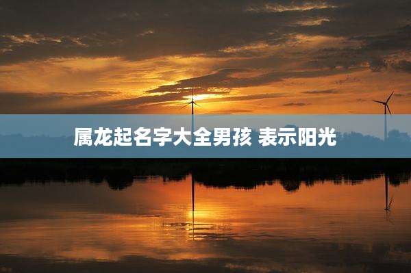 属龙起名字大全男孩 表示阳光