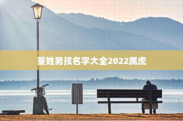 董姓男孩名字大全2022属虎