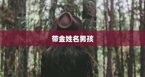 带金姓名男孩
