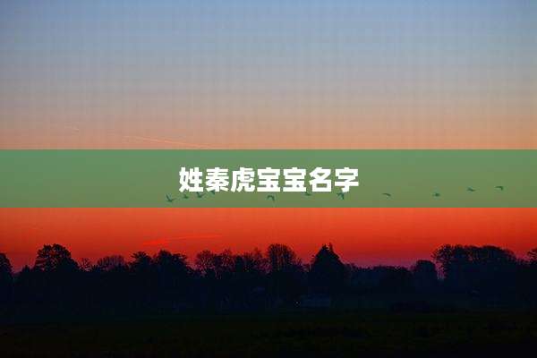 姓秦虎宝宝名字